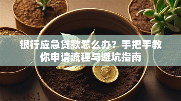 银行应急贷款怎么办？手把手教你申请流程与避坑指南