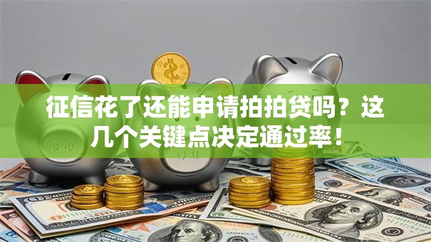 征信花了还能申请拍拍贷吗？这几个关键点决定通过率！
