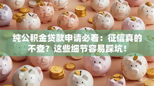 纯公积金贷款申请必看：征信真的不查？这些细节容易踩坑！