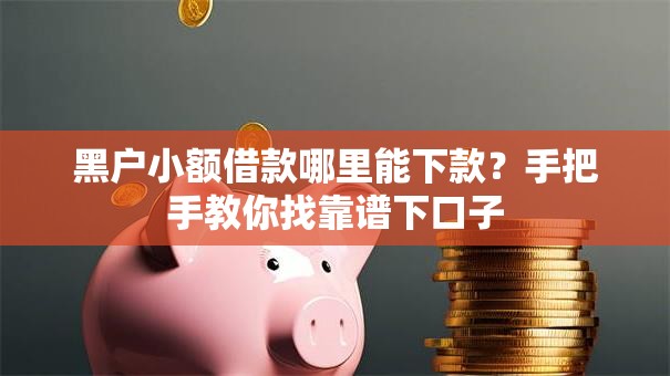 黑户小额借款哪里能下款？手把手教你找靠谱下口子