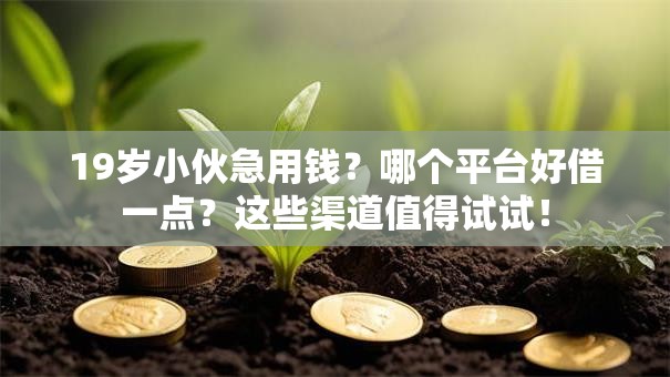 19岁小伙急用钱？哪个平台好借一点？这些渠道值得试试！