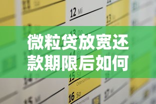微粒贷放宽还款期限后如何合理规划个人资金流动方案