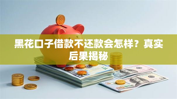 黑花口子借款不还款会怎样？真实后果揭秘