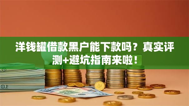 洋钱罐借款黑户能下款吗？真实评测+避坑指南来啦！