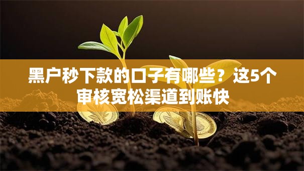 黑户秒下款的口子有哪些？这5个审核宽松渠道到账快