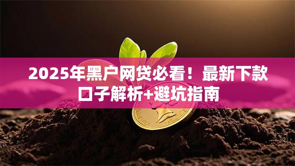 2025年黑户网贷必看！最新下款口子解析+避坑指南