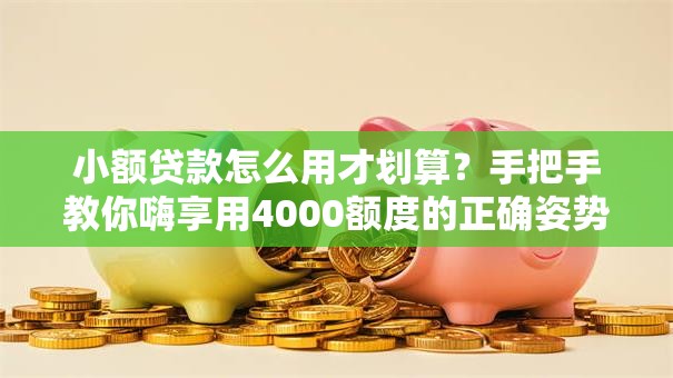 小额贷款怎么用才划算？手把手教你嗨享用4000额度的正确姿势