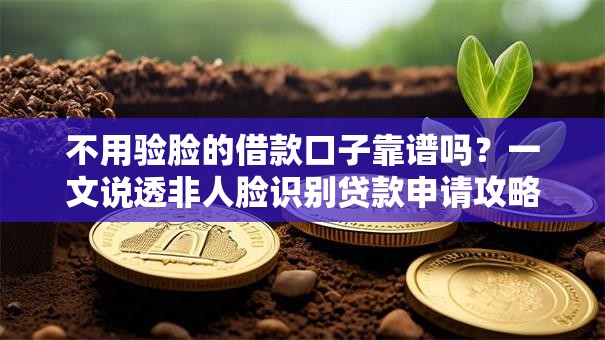 不用验脸的借款口子靠谱吗？一文说透非人脸识别贷款申请攻略
