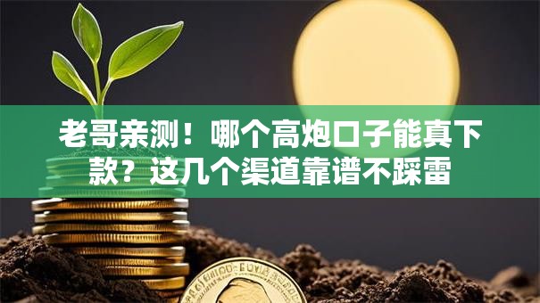 老哥亲测！哪个高炮口子能真下款？这几个渠道靠谱不踩雷