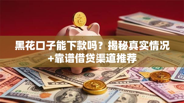 黑花口子能下款吗？揭秘真实情况+靠谱借贷渠道推荐