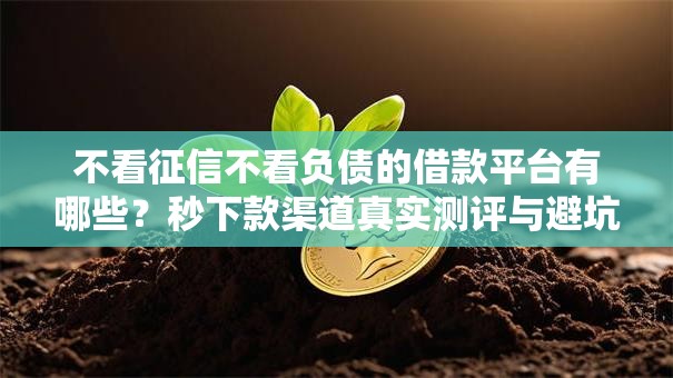 不看征信不看负债的借款平台有哪些？秒下款渠道真实测评与避坑指南