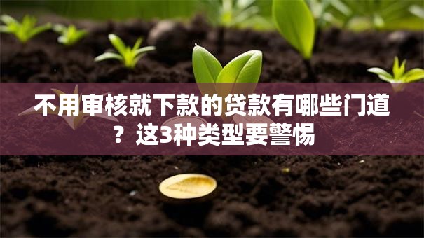 不用审核就下款的贷款有哪些门道？这3种类型要警惕