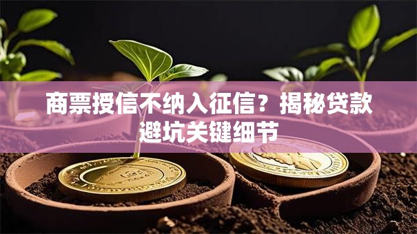 商票授信不纳入征信？揭秘贷款避坑关键细节