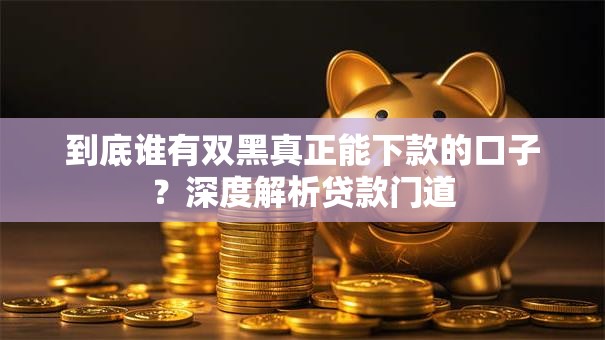 到底谁有双黑真正能下款的口子？深度解析贷款门道