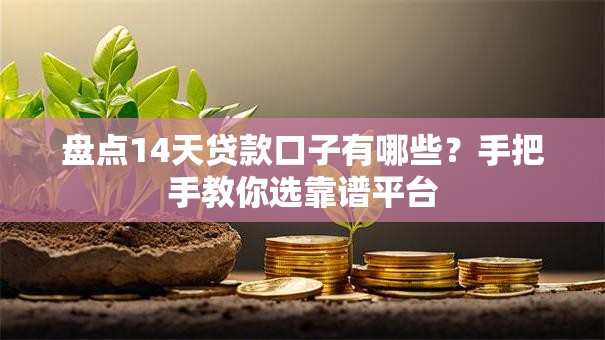 盘点14天贷款口子有哪些？手把手教你选靠谱平台