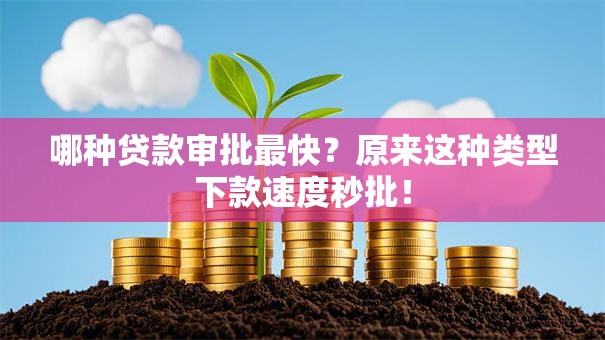 哪种贷款审批最快？原来这种类型下款速度秒批！
