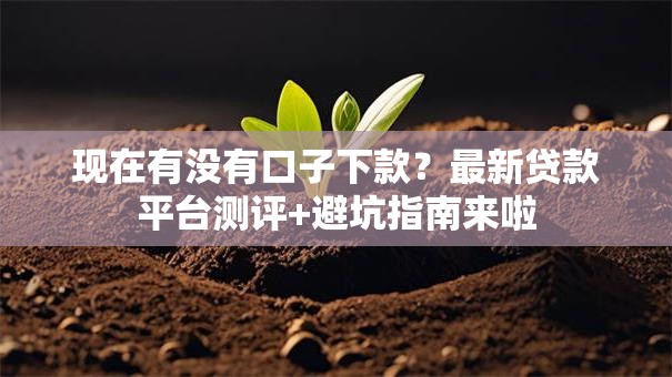 现在有没有口子下款？最新贷款平台测评+避坑指南来啦