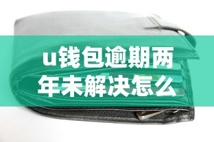 u钱包逾期两年未解决怎么办？用户真实经历与应对策略分享