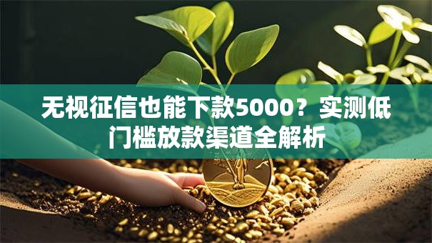 无视征信也能下款5000？实测低门槛放款渠道全解析
