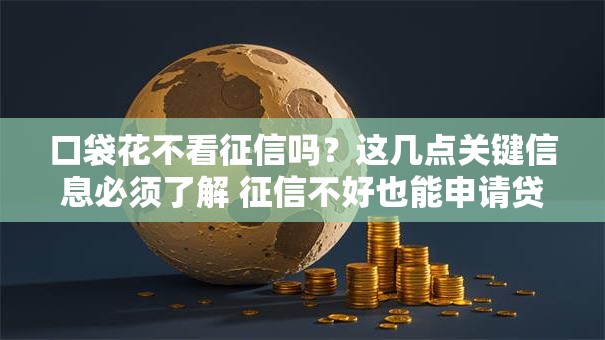 口袋花不看征信吗？这几点关键信息必须了解 征信不好也能申请贷款