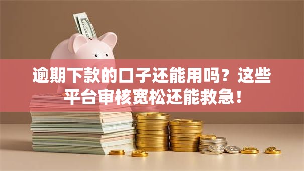 逾期下款的口子还能用吗？这些平台审核宽松还能救急！