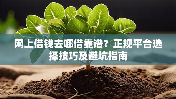 网上借钱去哪借靠谱？正规平台选择技巧及避坑指南