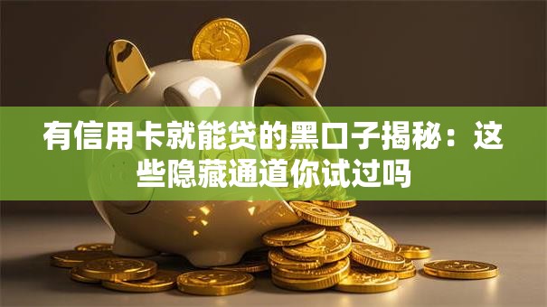 有信用卡就能贷的黑口子揭秘：这些隐藏通道你试过吗