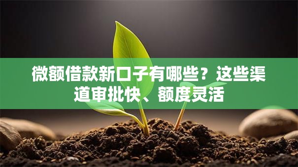 微额借款新口子有哪些？这些渠道审批快、额度灵活