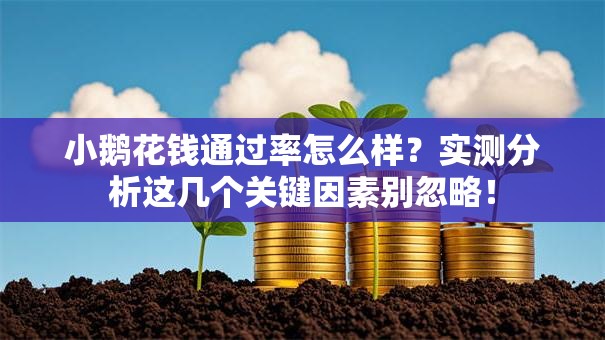 小鹅花钱通过率怎么样？实测分析这几个关键因素别忽略！