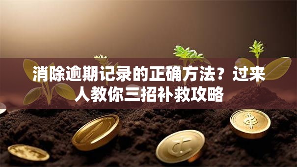 消除逾期记录的正确方法？过来人教你三招补救攻略