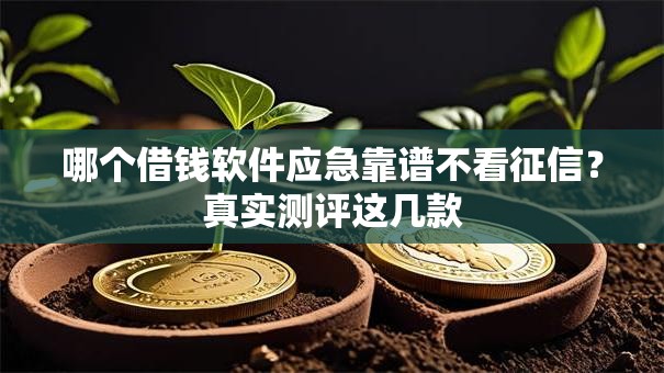 哪个借钱软件应急靠谱不看征信？真实测评这几款