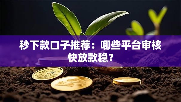 秒下款口子推荐：哪些平台审核快放款稳？