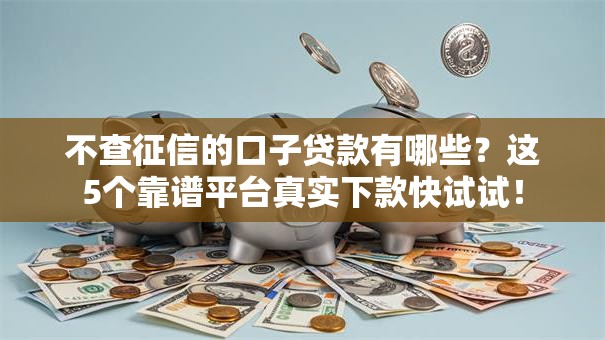 不查征信的口子贷款有哪些？这5个靠谱平台真实下款快试试！