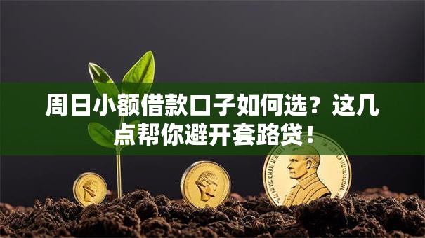 周日小额借款口子如何选？这几点帮你避开套路贷！