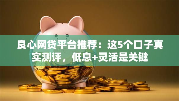 良心网贷平台推荐：这5个口子真实测评，低息+灵活是关键