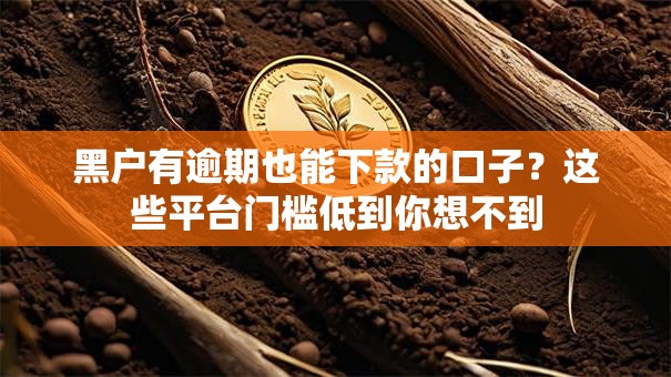 黑户有逾期也能下款的口子？这些平台门槛低到你想不到
