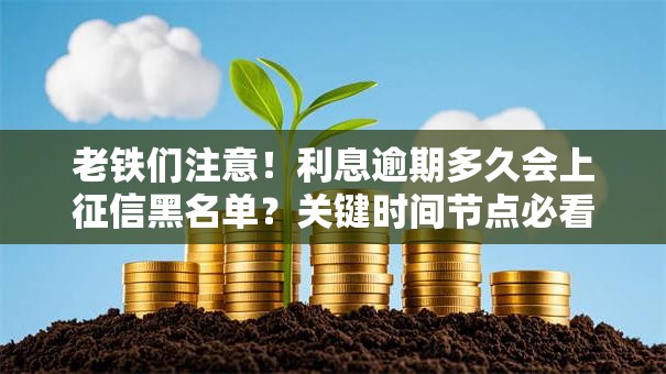 老铁们注意！利息逾期多久会上征信黑名单？关键时间节点必看