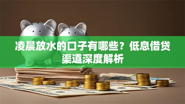 凌晨放水的口子有哪些？低息借贷渠道深度解析