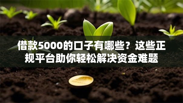 借款5000的口子有哪些？这些正规平台助你轻松解决资金难题