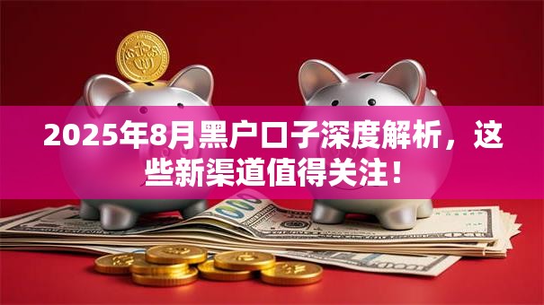 2025年8月黑户口子深度解析，这些新渠道值得关注！