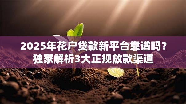2025年花户贷款新平台靠谱吗？独家解析3大正规放款渠道