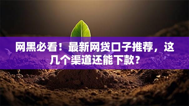 网黑必看！最新网贷口子推荐，这几个渠道还能下款？