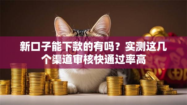 新口子能下款的有吗？实测这几个渠道审核快通过率高