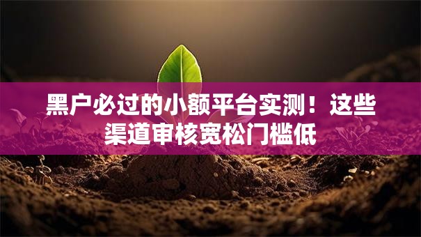 黑户必过的小额平台实测！这些渠道审核宽松门槛低