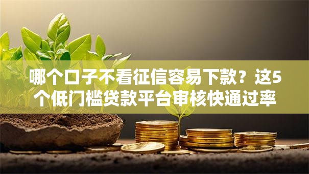 哪个口子不看征信容易下款？这5个低门槛贷款平台审核快通过率高