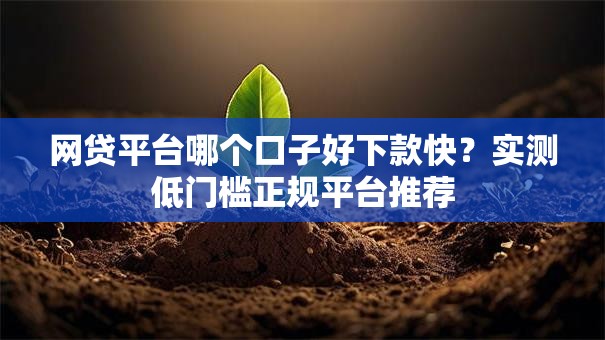网贷平台哪个口子好下款快？实测低门槛正规平台推荐