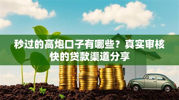 秒过的高炮口子有哪些？真实审核快的贷款渠道分享
