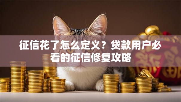 征信花了怎么定义？贷款用户必看的征信修复攻略