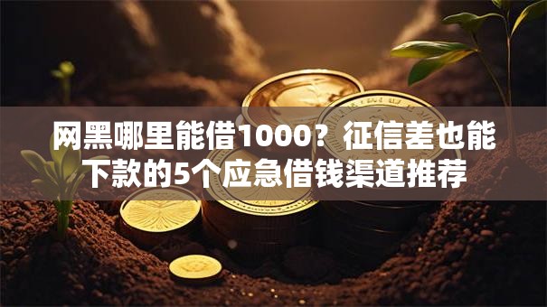 网黑哪里能借1000？征信差也能下款的5个应急借钱渠道推荐