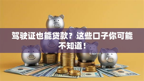 驾驶证也能贷款？这些口子你可能不知道！